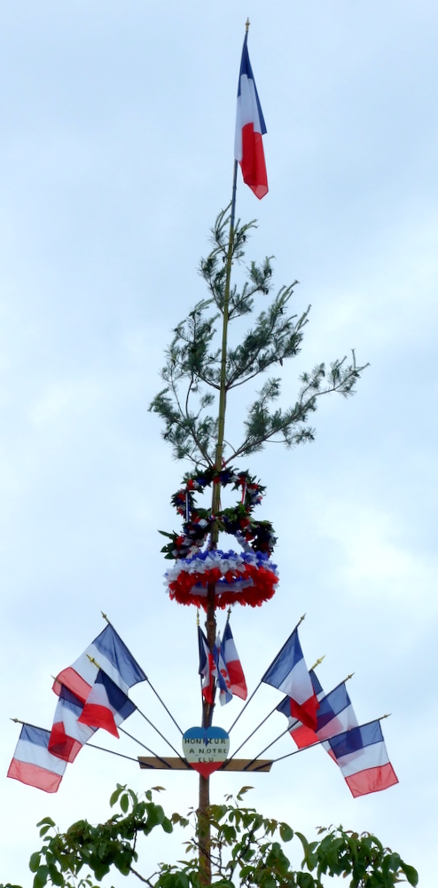 Les arbres de “Mai” : quésaco?