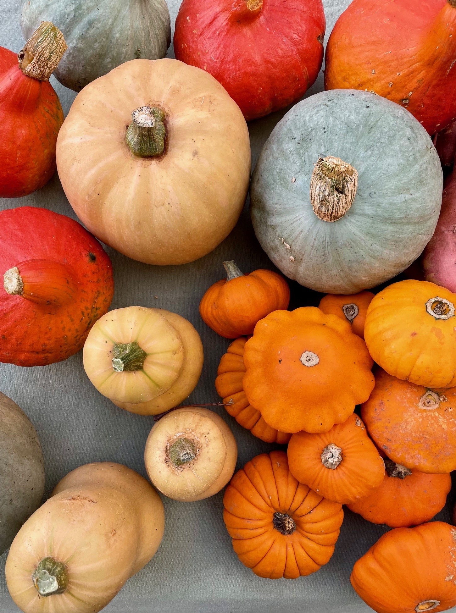 Cantines scolaires – menus de décembre