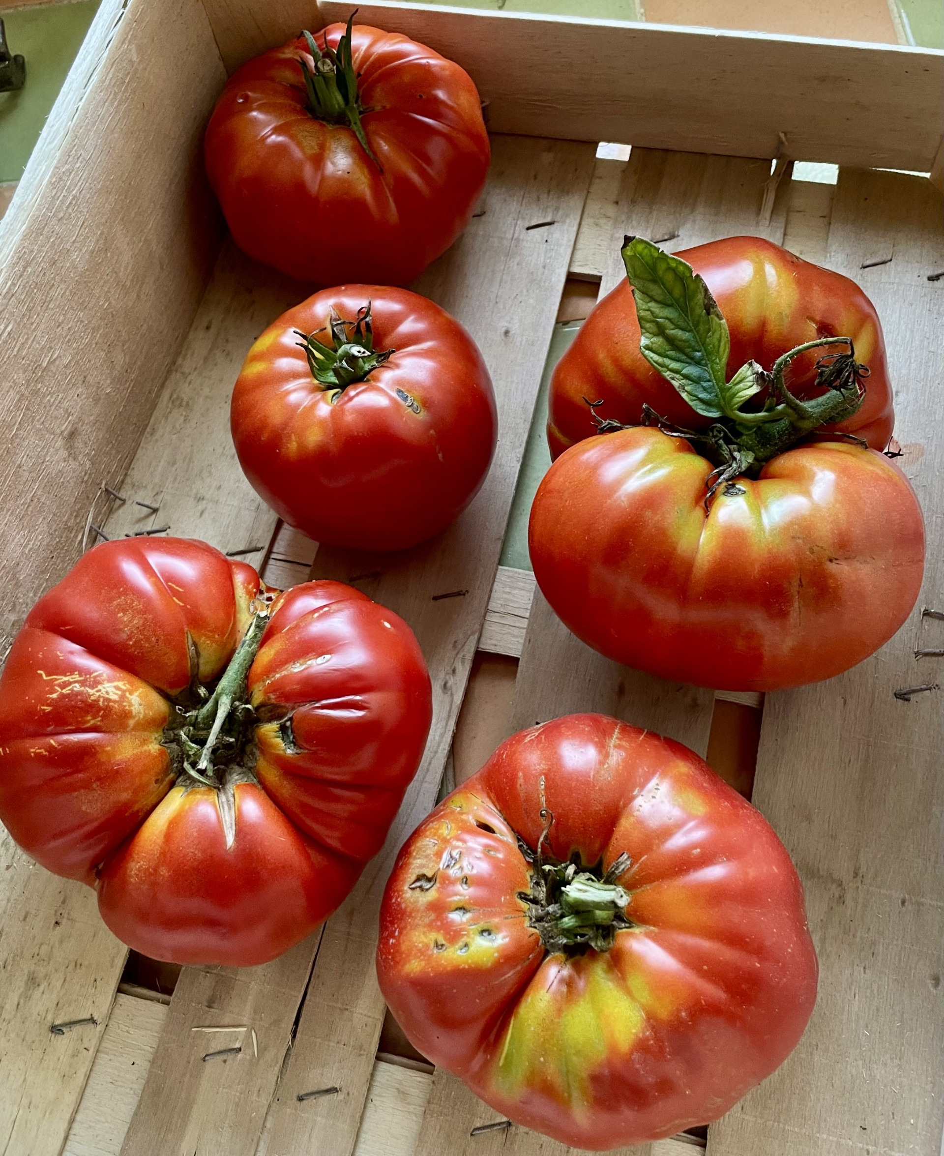 Cantines scolaires – menus d’octobre