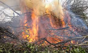 Information sur le brulage des déchets verts